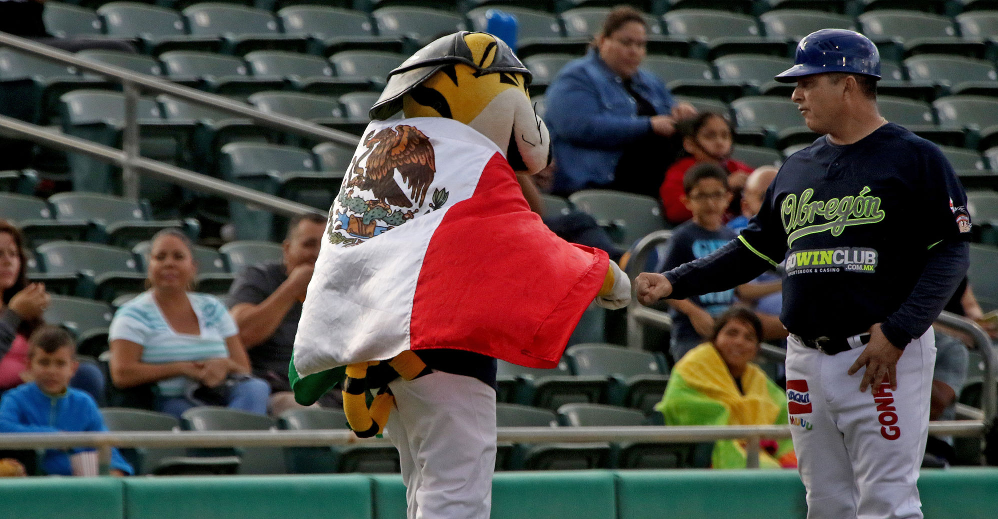 Vamos a Tucson Mexican Baseball Fiesta